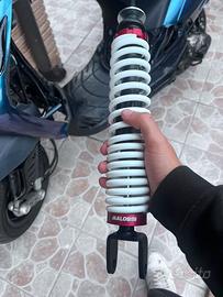 rs1 malossi piaggio
