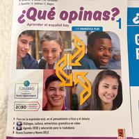Que opinas Gramatica plus