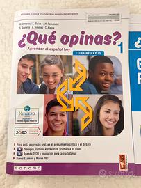 Que opinas Gramatica plus