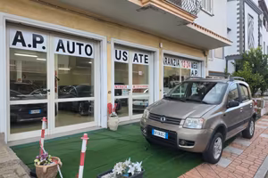 Fiat Panda 1.3 MJT 16V 4x4 Climbing