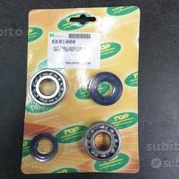 Cuscinetti e paraolio di banco booster f12 aerox