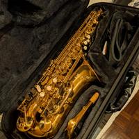 Sax Alto Conn AS501D