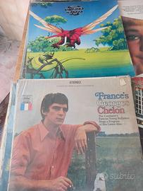 vinili da collezione 