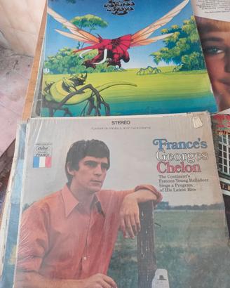 vinili da collezione 