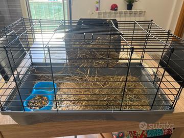 Gabbia e mangime