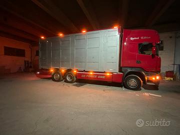 Scania 490 trasporto bestiame animali vivi
