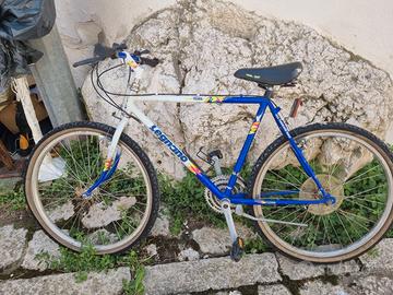 bicicletta 