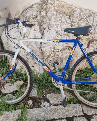 bicicletta 