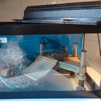 acquario - tartarughiera 20L