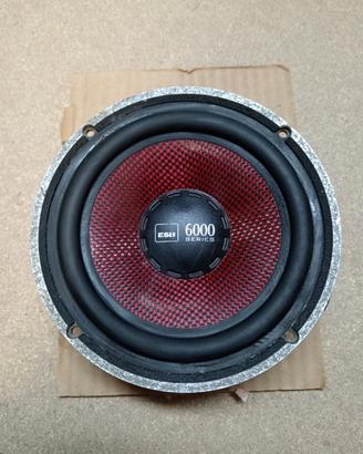 Mid Woofer ESB serie 6000 DM-6H.165