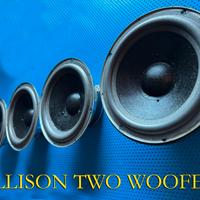 ALLISON ACOUSTIC model TWO WOOFER