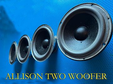 ALLISON ACOUSTIC model TWO WOOFER