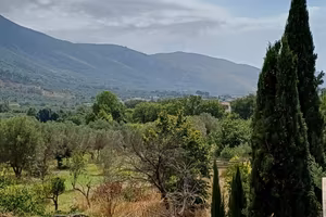 Soluzione indipendente