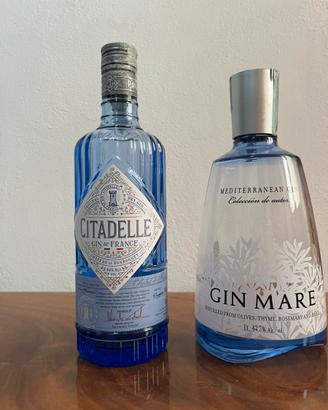 Bottiglie  vuote citadelle e gin mare