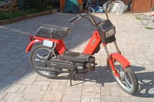 MOTORINO MALAGUTI cc 50