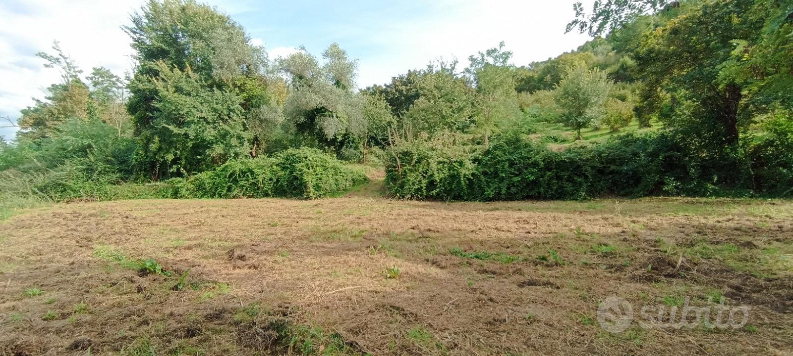 Terreno Agricolo Panoramico di ca. 3,5 ettari - Vista 2