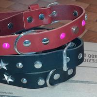 collare cane in pelle 