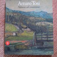 ARTURO TOSI 1871 - 1956 Catalogo mostra SKIRA