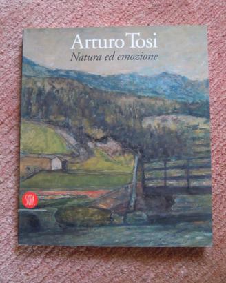 ARTURO TOSI 1871 - 1956 Catalogo mostra SKIRA