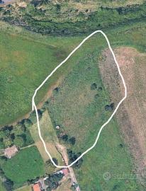 Terreno Agricolo