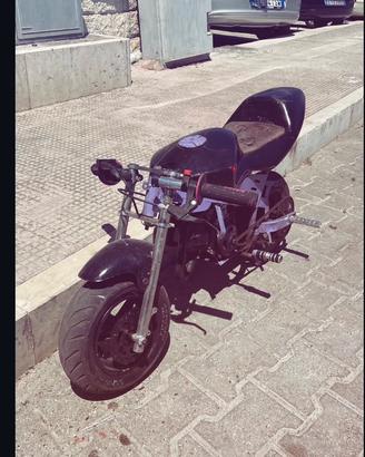 minimoto gp 49 cc