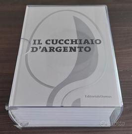 IL CUCCHIAIO D'ARGENTO 