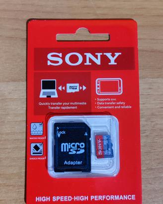 Micro SD da 1TB  Sony