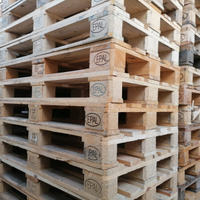 Pallets epal usati