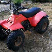 Quad Suzuki