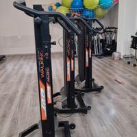 walking professionali 