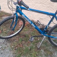 Mountain bike