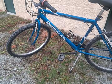 Mountain bike