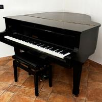 Pianoforte a coda