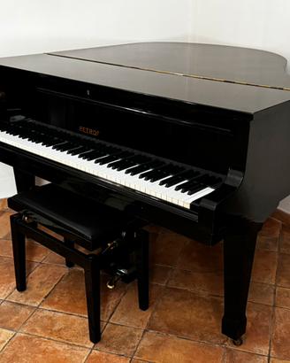 Pianoforte a coda