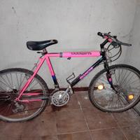 Bicicletta Bianchi marce 