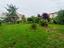 Immagine 14