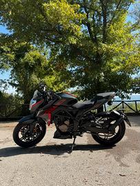 Brivido 300R ABS (Euro 5)