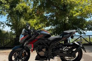 Brivido 300R ABS (Euro 5)