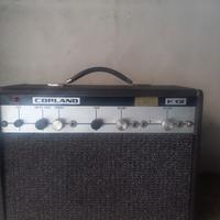 amplificatore mono conrad 