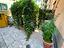 Immagine 25