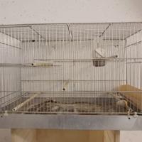 GABBIE COVA E COLONNA PER UCCELLI