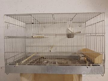 GABBIE COVA E COLONNA PER UCCELLI