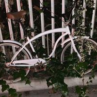 Bici uomo