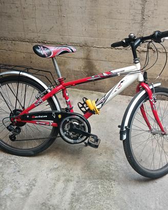 bicicletta Ragazzo 12/14 anni