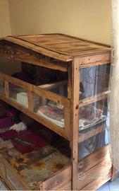 Graziosa cuccia  per porcellini d India