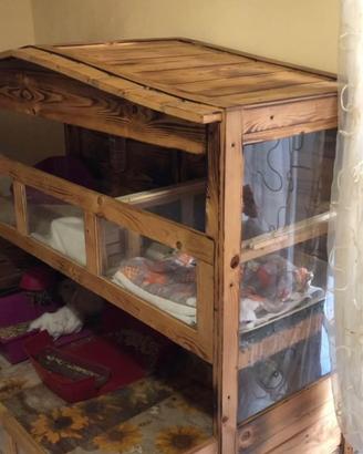 Graziosa cuccia  per porcellini d India