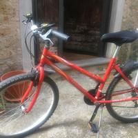 Mountain bike