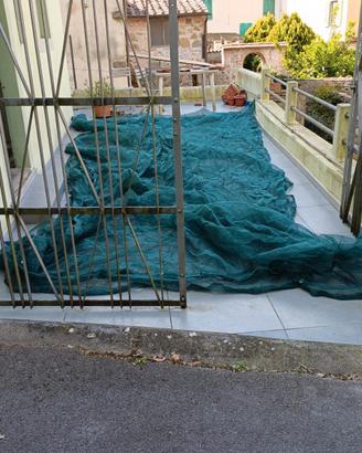rete per olive 