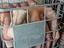 Immagine 6