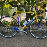 Olmo in acciaio microlegato